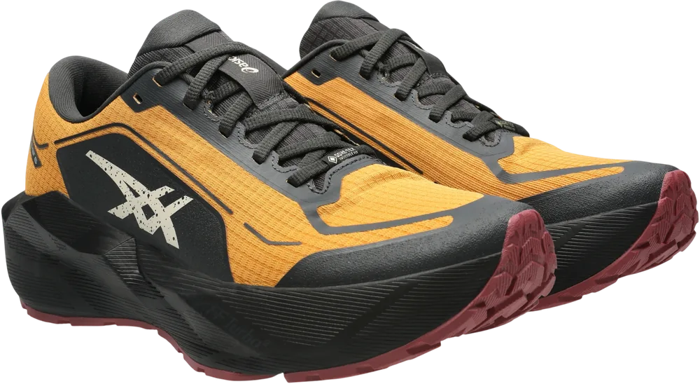ASICS Novablast 6 GTX Sandstorm / Black homme, vue trois quarts