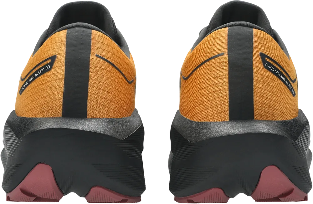 ASICS Novablast 6 GTX Sandstorm / Black homme, vue arrière