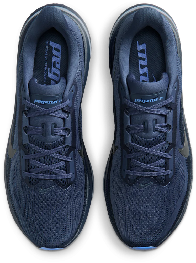Nike Pegasus 42 Diffused Blue / Obsidian, vue de dessus