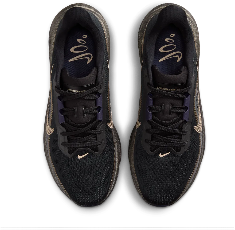 Nike Pegasus 42 Noir / Pitch Blue, vue de dessus