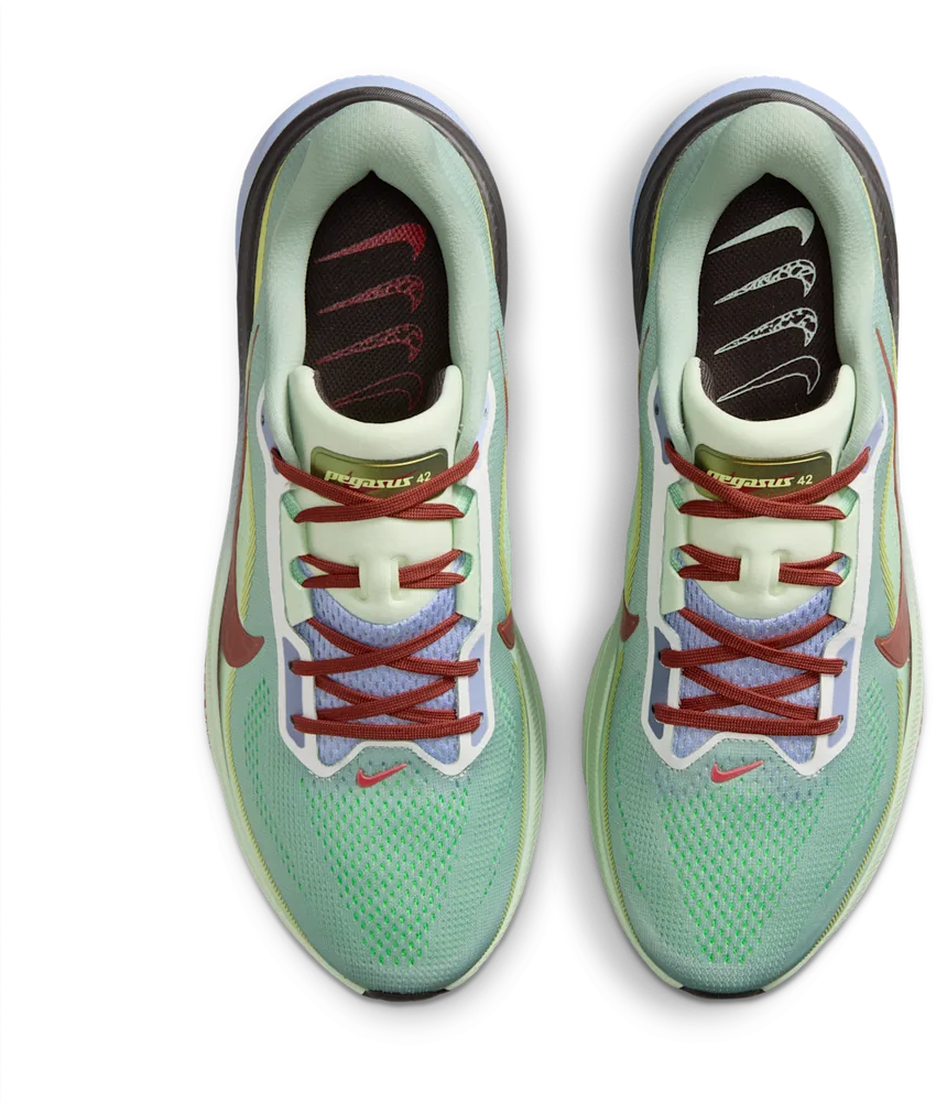 Nike Pegasus 42 Steam / Frosted Spruce, vue de dessus