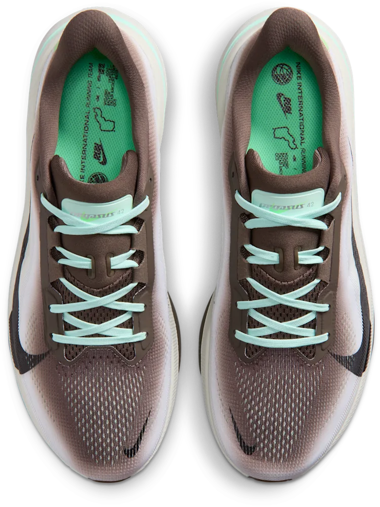 Nike Pegasus 42 Ironstone / Sea Glass, vue de dessus